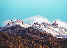 PG电子app下载-【夜读】梅西拿3300万欧忠诚奖后离开巴萨？